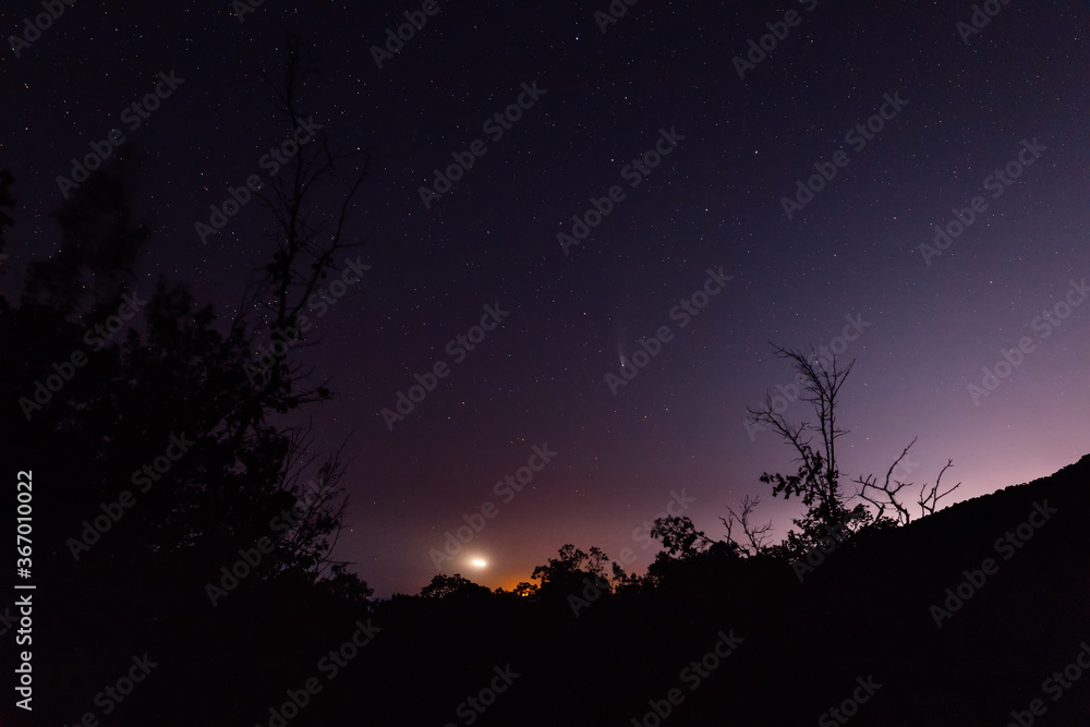 Night star sky with Comet C/2020 NEOWISE and mountains with trees in forest