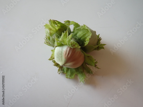 green hazelnut on a white table