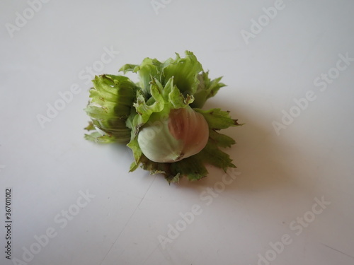 green hazelnut on a white table