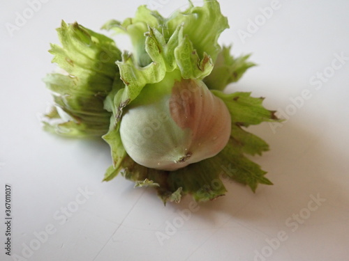 green hazelnut on a white table