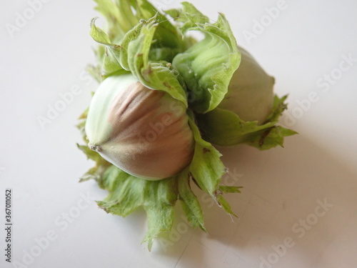 green hazelnut on a white table