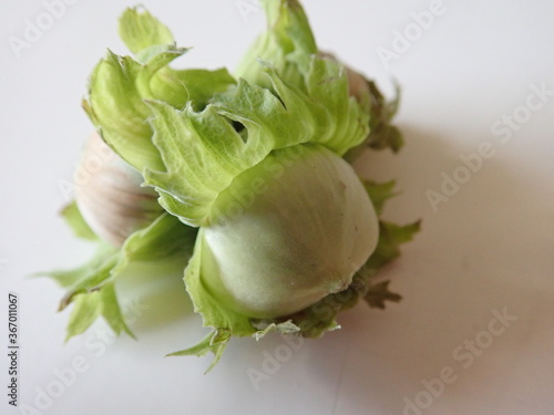 green hazelnut on a white table