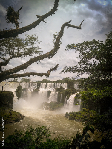 Papier peint Amazing Iguazu falls in the brazilian side, framed by trees