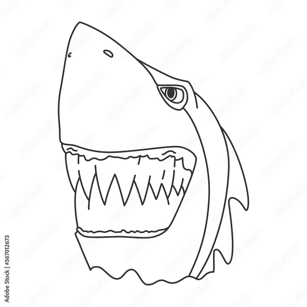 Vector illustration of cartoon shark Stock Vector | Adobe Stock