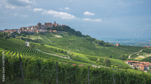 View over Nebbiolo vineyards to medieval town of La Morra  Piemonte  Italy