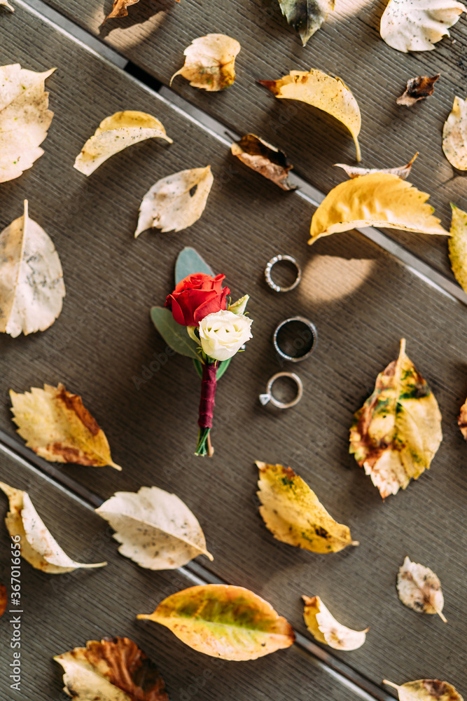 White and red roses in a bud with wedding rings against the background of yellow leaves on a wooden texture.