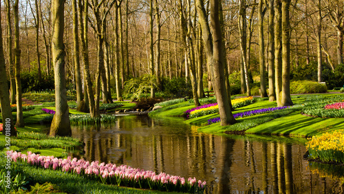 A botanical garden near Lisse, Netherlands photo