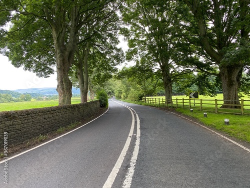 Road leading from Eshton, to Gargrave, lined with old trees, dry stone walls, and fields near, Gargrave, Skipton, UK