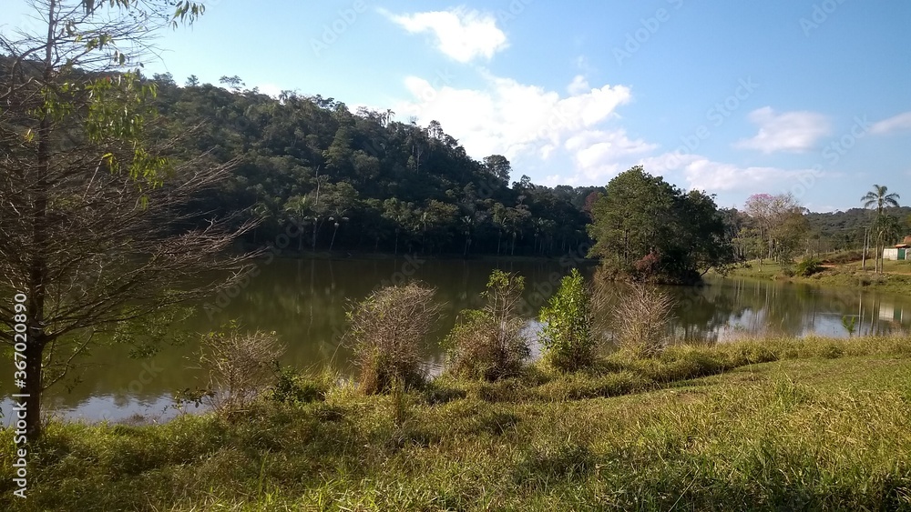 Fototapeta premium lake and forest