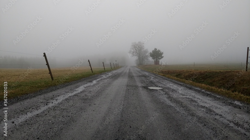 Foggy old road