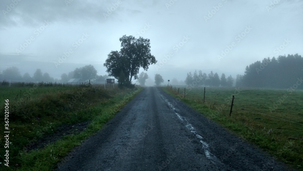 old road in the fog