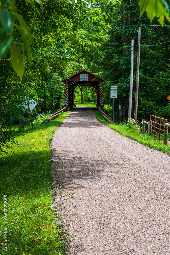 Obraz premium covered bridge summer d