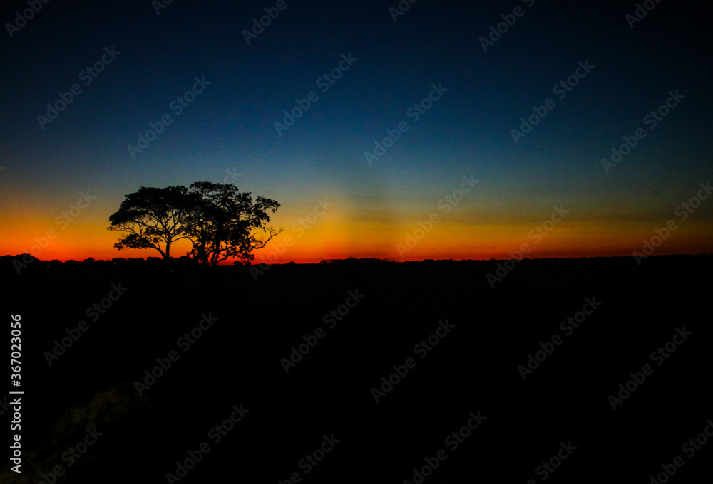 sunset in the serengeti