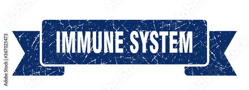 immune system grunge vintage retro band. immune system ribbon