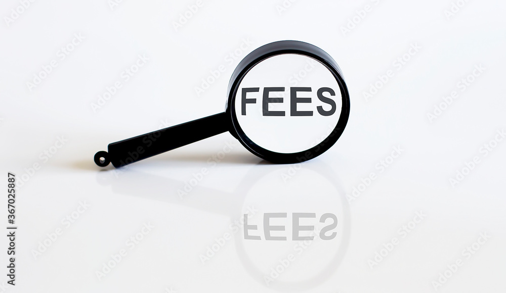 Magnifier with text FEES on the white background Magnifier with text FEES on the white background