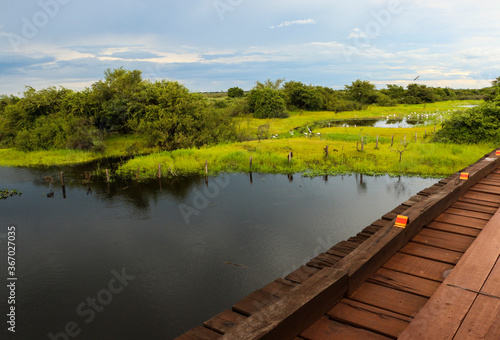 lagoon in Brazilian wild wetland with wooden bridge