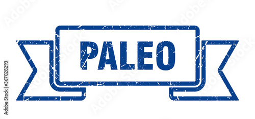 paleo grunge vintage retro band. paleo ribbon