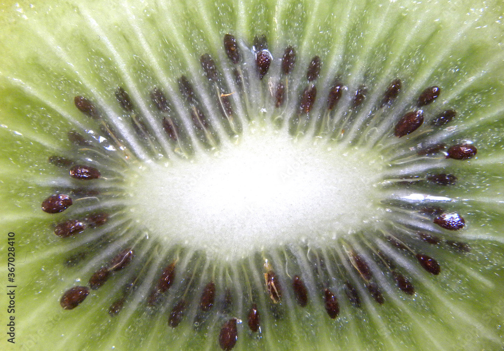 Cut cross section detail of green and white color sliced cut ripe Kiwi fruit Cut cross section detail of green and white color sliced cut ripe Kiwi fruit