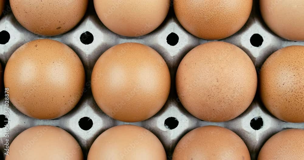 Top view truck shot close up of raw chicken egg pattern on the egg panel Top view truck shot close up of raw chicken egg pattern on the egg panel
