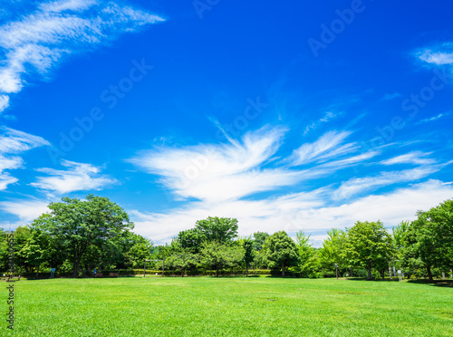 青空が広がる住宅街の公園 © oben901