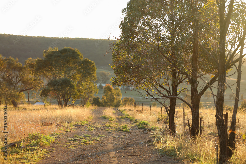 Dirt road through country property in New South Wales, Australia Dirt road through country property in New South Wales, Australia