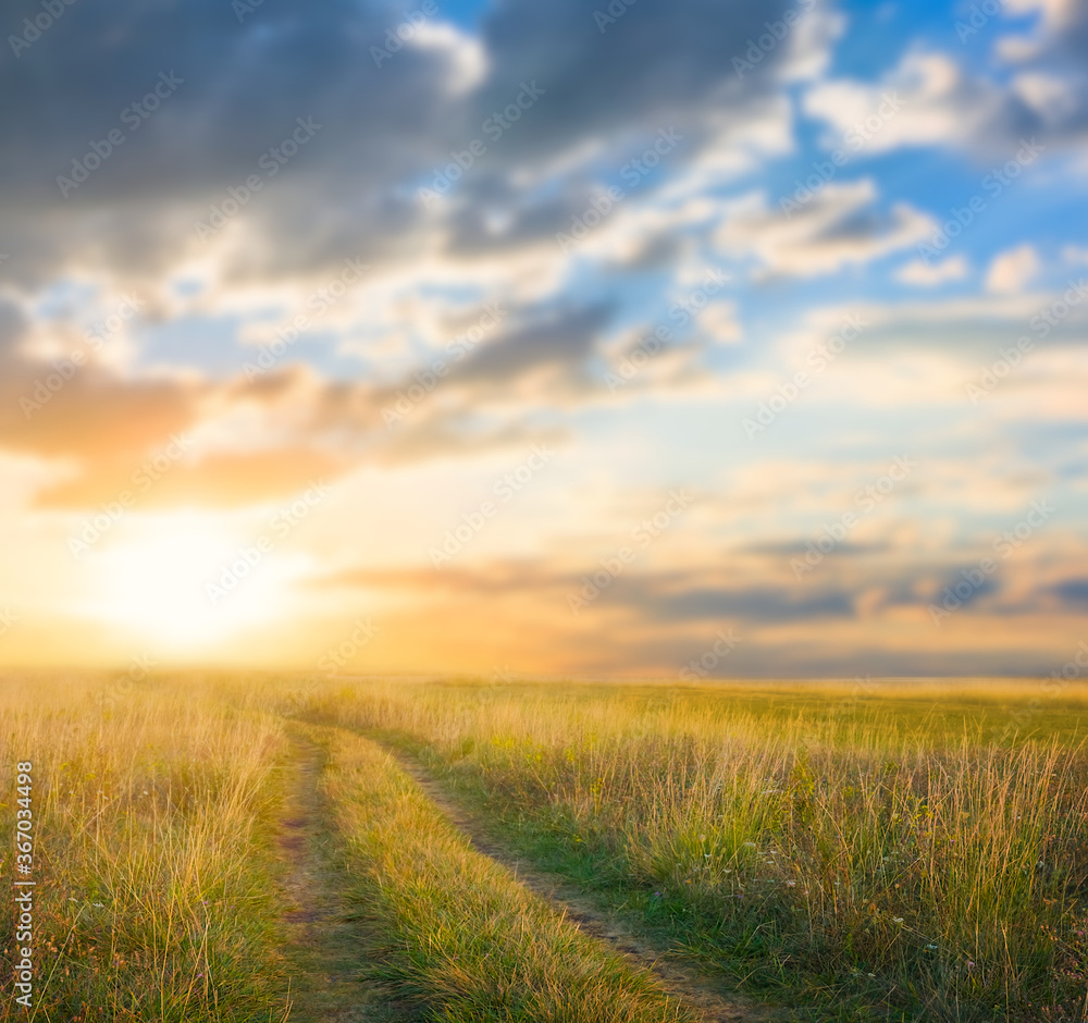 ground road among a summer prairie at the sunset ground road among a summer prairie at the sunset