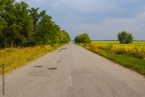 asphalt road among a green fields, rural landscape