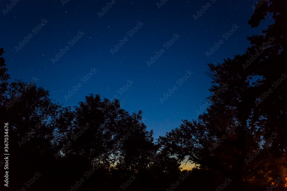 forest silhouette on a night starry sky background, night outdoor camp scene