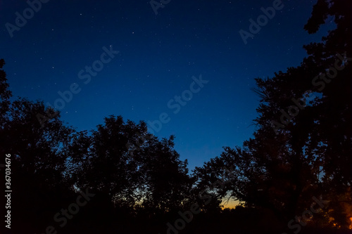 forest silhouette on a night starry sky background, night outdoor camp scene