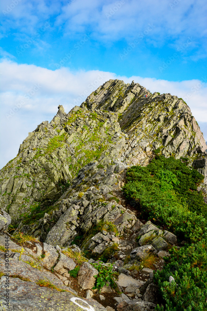 日本国内9番目の標高の名峰、北アルプスの北穂高岳(3106m)から、17番目の南岳(3,033m)、8番目の槍ヶ岳(3,180m)へと続く、三大キレットの一つ、アルピニスト憧れのコース、信州山のグレーディング表で最難関と判定されている「大キレット」の難所、【長谷川ピーク(2,841m)】。夏空、雲、雲海、ヘルメット姿の登山者。夏山。最難関。山岳遭難。縦写真。 日本国内9番目の標高の名峰、北アルプスの北穂高岳(3106m)から、17番目の南岳(3,033m)、8番目の槍ヶ岳(3,180m)へと続く、三大キレットの一つ、アルピニスト憧れのコース、信州山のグレーディング表で最難関と判定されている「大キレット」の難所、【長谷川ピーク(2,841m)】。夏空、雲、雲海、ヘルメット姿の登山者。夏山。最難関。山岳遭難。縦写真。