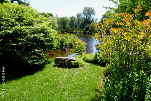 quiet and peaceful pond view with a stone bench in the foreground