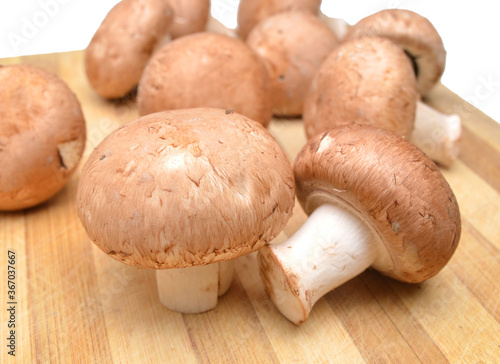 fresh mushroom champignon isolated on wooden board