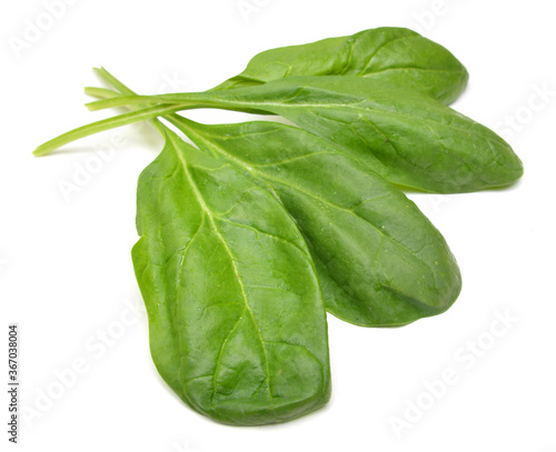 green leaves of spinach isolated on white background