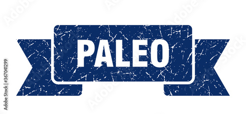 paleo grunge vintage retro band. paleo ribbon