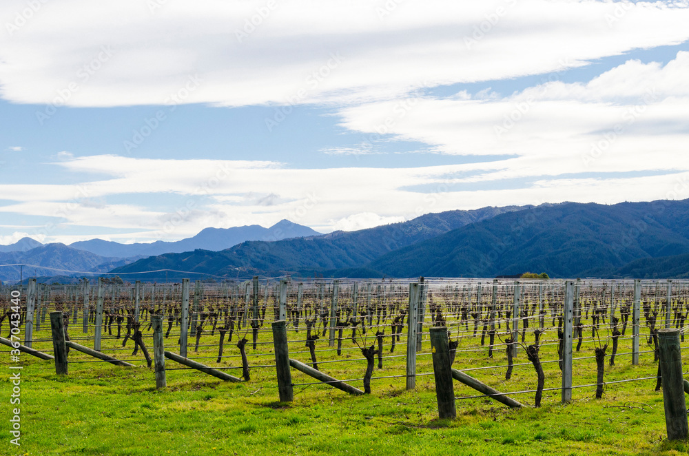 New Zealand, South Island, Landscape