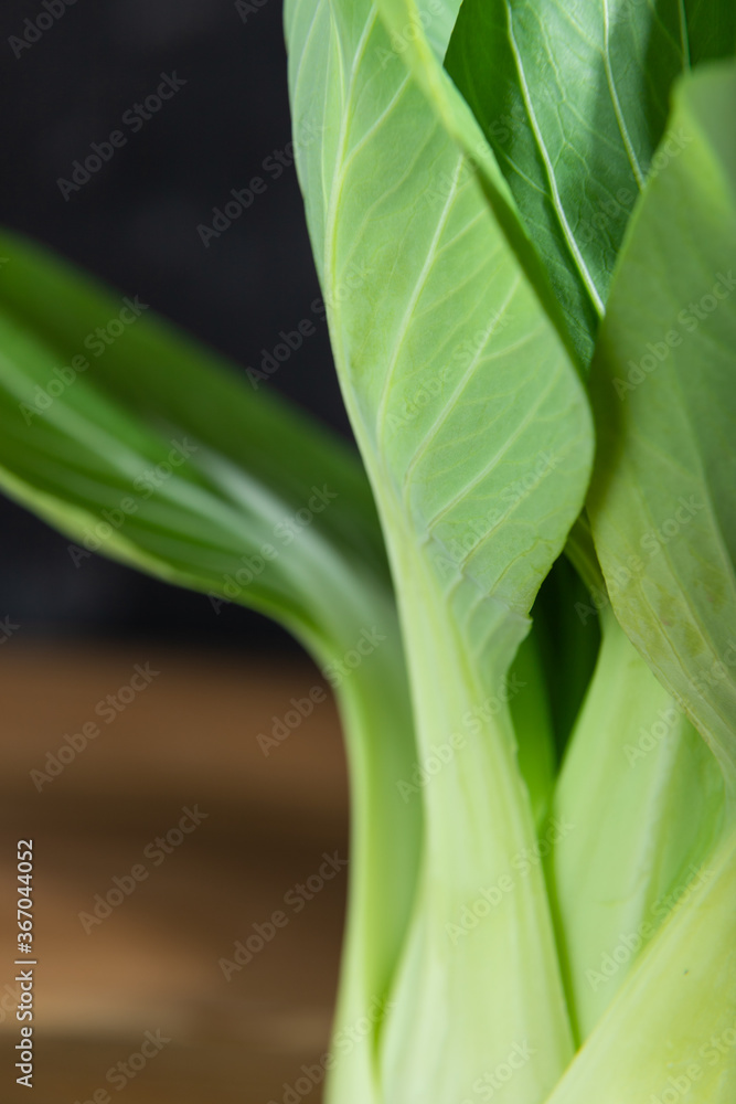 Fresh green bok choy or pac choi chinese cabbage. Side view, close up. Fresh green bok choy or pac choi chinese cabbage. Side view, close up.