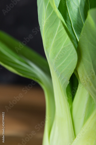 Fresh green bok choy or pac choi chinese cabbage. Side view  close up.