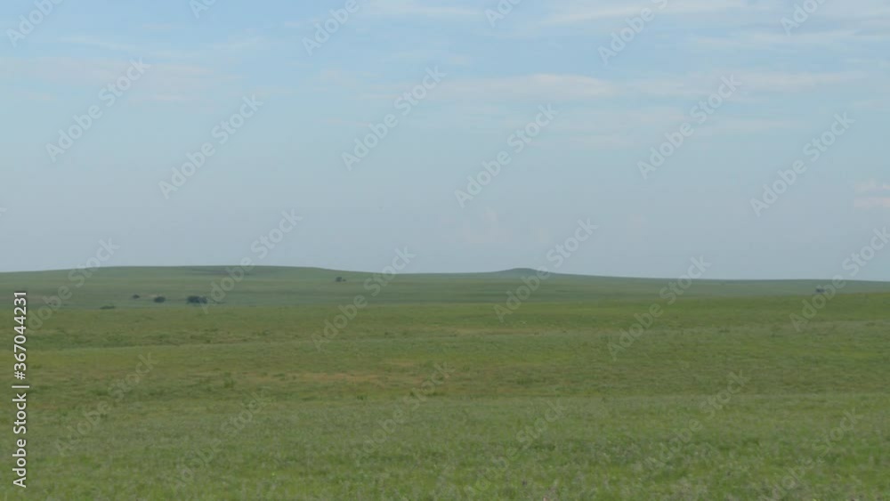 open Kansas landscape with fog open Kansas landscape with fog
