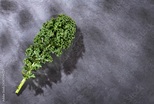 Fresh curly kale leaves - Brassica oleracea var