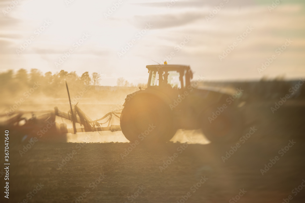 Tractor with a disc harrow system harrows the cultivated farm field, process of harrowing and preparing the soil, tractor seeding crops at field on sunset, agriculture concept, harrow machine at work Tractor with a disc harrow system harrows the cultivated farm field, process of harrowing and preparing the soil, tractor seeding crops at field on sunset, agriculture concept, harrow machine at work