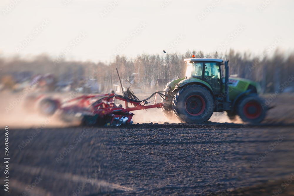Fototapeta premium Tractor with a disc harrow system harrows the cultivated farm field, process of harrowing and preparing the soil, tractor seeding crops at field on sunset, agriculture concept, harrow machine at work