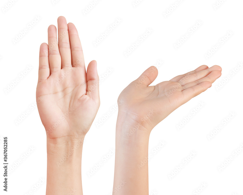 Woman hand isolated on white background with clipping path included. Woman hand isolated on white background with clipping path included.