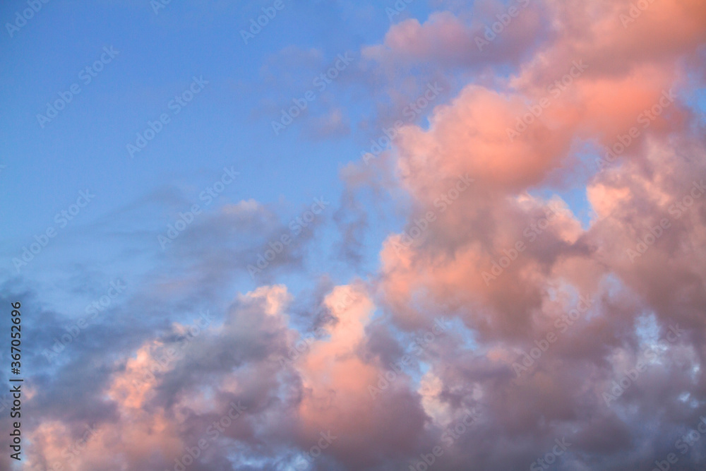 Pink clouds in blue sky
