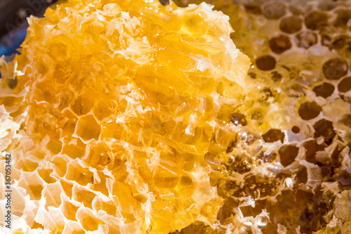 The golden color of nature's wild beehive honey