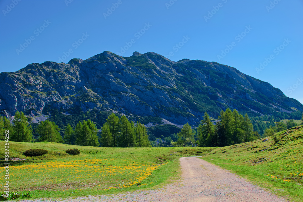 road in mountains, Tauplitzalm Styria road in mountains, Tauplitzalm Styria