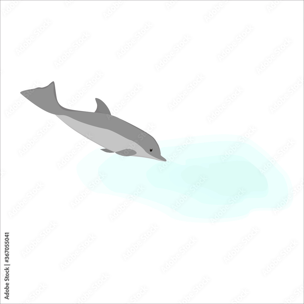 Dolphin Illustration Dolphin Illustration