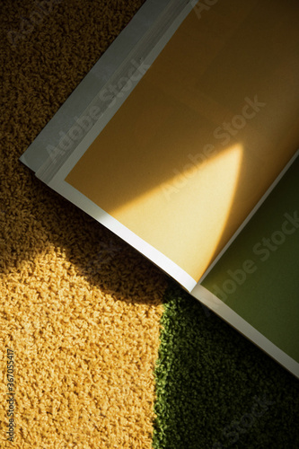 Green and yellow book on matching carpet with shadow
