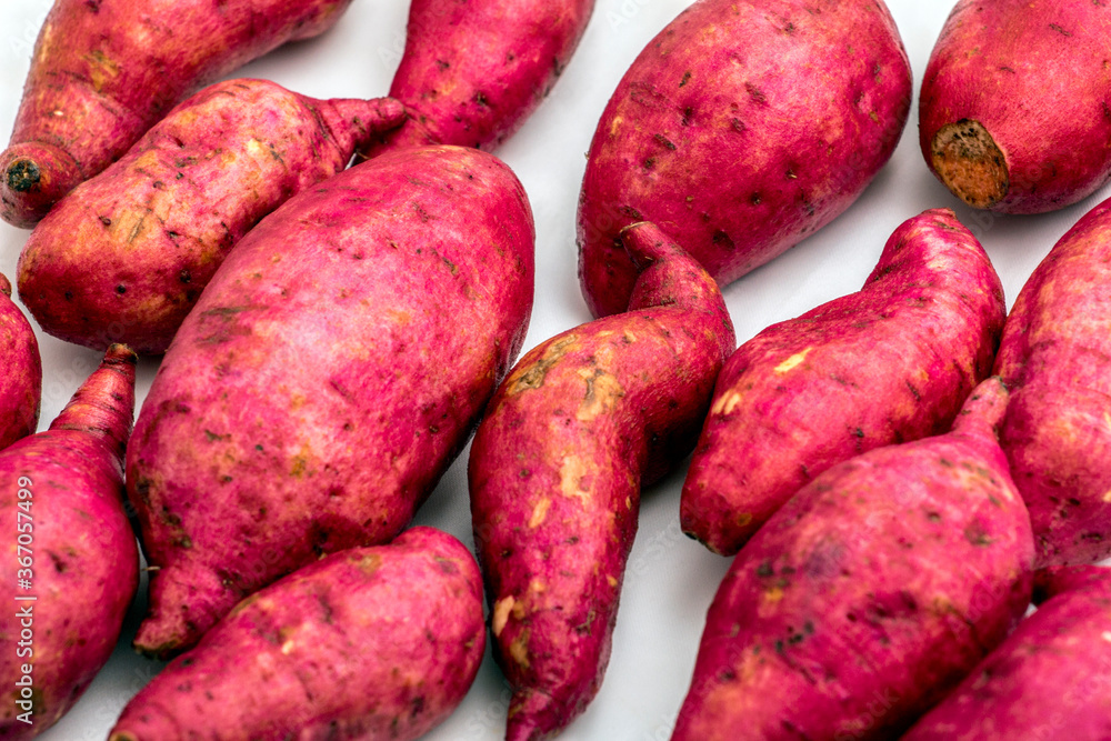 Sweet potatoes sweet potatoes sweet potatoes Sweet potatoes sweet potatoes sweet potatoes