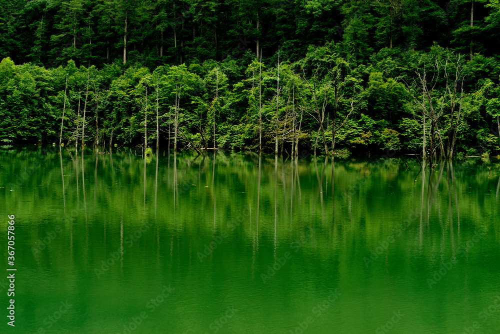 自然湖 自然湖