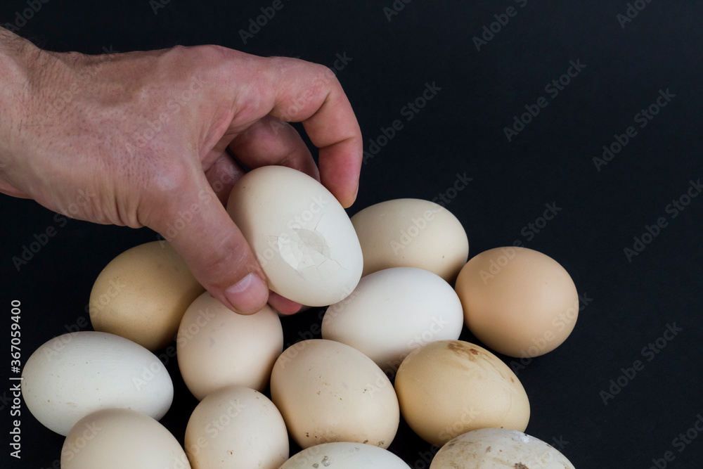 Organic,fresh large size uncooked eggs on black background with copy space.Hand holding. Organic,fresh large size uncooked eggs on black background with copy space.Hand holding.
